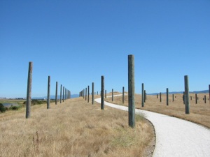 Pole Field at Byxbee Park, Palo Alto