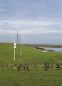 Michael Oppenheimer's Wind Wave installation